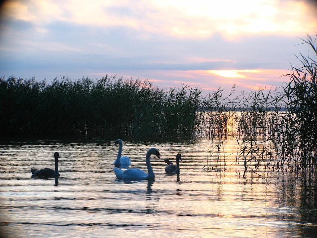 Feriendorf Boeker Muehle Δωμάτιο φωτογραφία
